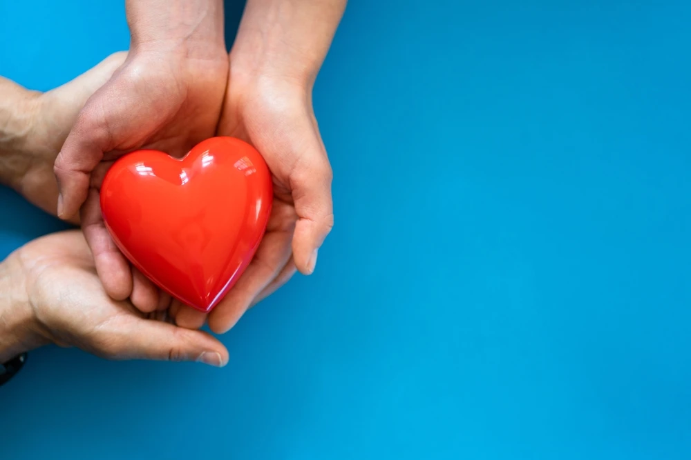 Handen houden beschermend rood plastic hart vast als symbool dat zorgkwaliteit belangrijk is.