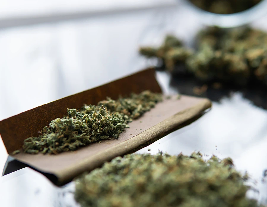 Close-up van cannabis die op vloeitjes wordt gelegd om een joint te draaien, passend bij wietgebruik en cannabisverslaving.