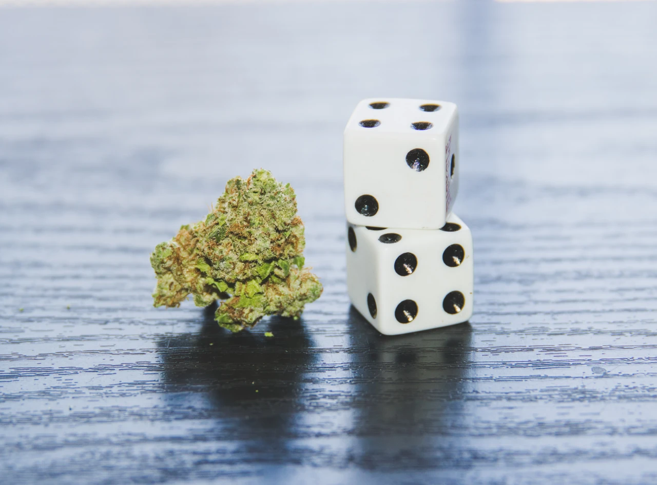 Topje cannabis en op elkaar gestapelde dobbelstenen om te gokken.
